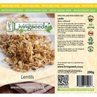 Living Seeds Sprouting & Microgreen Masoor Dal Lentils Seeds 